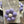 Load image into Gallery viewer, 871 - 02 Felted Daisy Car Vent diffuser Clip - Chickadee Creations - Painted Door on Main