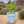 Load image into Gallery viewer, 876 - 07 Potted Cactus - A Touch Of Glass - Painted Door on Main