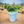 Load image into Gallery viewer, 876 - 07 Potted Cactus - A Touch Of Glass - Painted Door on Main