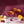 Load image into Gallery viewer, 880 - 12 Cosmo Instant Infusers - Fuse and Sip - Painted Door on Main