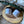 Load image into Gallery viewer, 881 - 04 Tallow Body Butter Citrus & Mint - Lazuli Farms - Painted Door on Main