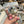 Load image into Gallery viewer, 885 - 06 Assorted Polar Bites - Northern Lights Candy - Painted Door on Main