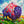 Load image into Gallery viewer, 890 - 01 'In Good Company' Wood Puzzle - StumpCraft - Painted Door on Main