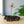 Load image into Gallery viewer, Flowers on Driftwood - Gaia's Glasswear