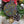 Load image into Gallery viewer, 113-27 Christmas Ornaments - Flickering Aromas