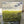 Load image into Gallery viewer, 039-10 Beeswax Painting (Minis) - Wanna Bee Art