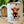 Load image into Gallery viewer, 017-39 Distressed Ceramic Mugs - Country Compass
