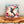 Load image into Gallery viewer, 117-09 Bird Coasters - Wishing Star Designs
