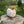 Load image into Gallery viewer, 096-20 Farm Creatures - Willing Hands Crochet