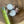 Load image into Gallery viewer, Acorn & Wood Slice Magnet Set - ForgetBKnot - Painted Door on Main