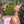 Load image into Gallery viewer, Argan Body Oil - Barefoot Venus - Painted Door on Main
