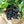 Load image into Gallery viewer, 096-56 Baby Booties - Willing Hands Crochet