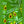 Load image into Gallery viewer, Bravo Avo Guacamole Seasoning - The Spice Age - Painted Door on Main