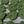 Load image into Gallery viewer, Crochet Ivy Vine - Finn & Rae - Painted Door on Main