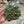 Load image into Gallery viewer, Crochet Ivy Vine - Finn & Rae - Painted Door on Main