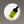 Load image into Gallery viewer, Cucumber Tea Brightening Eye Serum - Om Organics Skincare - Painted Door on Main