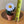 Load image into Gallery viewer, Daisy Felt Forever Flower - ForgetBKnot - Painted Door on Main