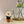 Load image into Gallery viewer, Daisy Felt Forever Flower - ForgetBKnot - Painted Door on Main