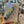 Load image into Gallery viewer, Duo Canvas Art Kits - Canvas Kit - Painted Door on Main