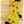Load image into Gallery viewer, 843-02 Bees Knees Socks - Plainsbreaker Apparel
