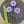 Load image into Gallery viewer, Flower Bookmarks - ForgetBKnot - Painted Door on Main