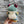 Load image into Gallery viewer, 096-05 Plushy Frogs - Willing Hands Crochet