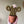 Load image into Gallery viewer, Macrame Cactus Forever Plant - ForgetBKnot - Painted Door on Main