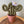 Load image into Gallery viewer, Macrame Cactus Forever Plant - ForgetBKnot - Painted Door on Main