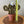 Load image into Gallery viewer, Macrame Cactus Forever Plant - ForgetBKnot - Painted Door on Main