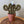 Load image into Gallery viewer, Macrame Cactus Forever Plant - ForgetBKnot - Painted Door on Main