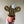 Load image into Gallery viewer, Macrame Cactus Forever Plant - ForgetBKnot - Painted Door on Main