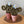 Load image into Gallery viewer, Macrame Cactus Forever Plant - ForgetBKnot - Painted Door on Main