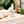 Load image into Gallery viewer, Magnesium Spray - The Fresh Wife Soap Company - Painted Door on Main