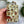Load image into Gallery viewer, Mushroom Notions Tin - Firefly Notes - Painted Door on Main