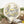 Load image into Gallery viewer, Mushrooms Embroidery Kit - Hook, Line & Tinker - Painted Door on Main