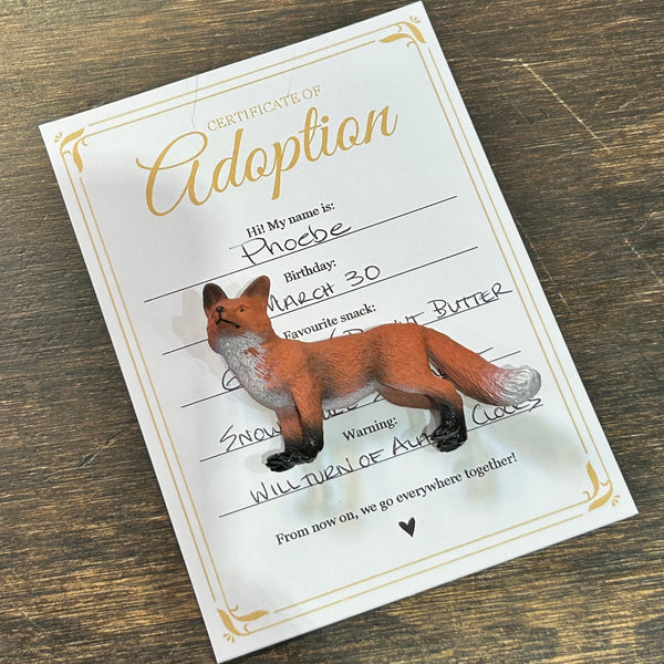 Mystery Pet Adoption Kit - Sweet Bean Art - Painted Door on Main