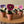 Load image into Gallery viewer, Pansy Felt Forever Flower - ForgetBKnot - Painted Door on Main