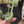Load and play video in Gallery viewer, Crochet Ivy Vine - Finn & Rae