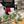 Load image into Gallery viewer, Rose Felt Forever Flower - ForgetBKnot - Painted Door on Main