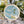 Load image into Gallery viewer, Saw Whet Owl Embroidery Kit - Hook, Line & Tinker - Painted Door on Main