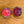 Load image into Gallery viewer, 032 - 23 Champagne Collection Earrings - Sweet Bean Art - Painted Door on Main