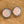 Load image into Gallery viewer, 032 - 23 Champagne Collection Earrings - Sweet Bean Art - Painted Door on Main