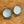 Load image into Gallery viewer, 032 - 23 Champagne Collection Earrings - Sweet Bean Art - Painted Door on Main