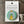 Load image into Gallery viewer, 032 - 94 Watercolour Buttons - Jasper & Rae - Painted Door on Main