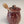 Load image into Gallery viewer, 075 - 07 Honey Pots - Elizabeth's Clay Vision - Painted Door on Main