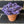 Load image into Gallery viewer, 096 - 41 Potted Succulents - Willing Hands Crochet - Painted Door on Main