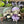 Load image into Gallery viewer, 096 - 45 Garden Characters - Willing Hands Crochet - Painted Door on Main