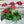 Load image into Gallery viewer, 009-13 Ladybug Plant Picks - A Touch of Glass

