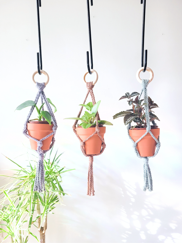 844-03 Mini Macrame Plant Hanger - Caught In a Knot Co.