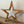 Load image into Gallery viewer, 820 - 07 Medium Wood Star - Larcher Woods & Crafts - Painted Door on Main